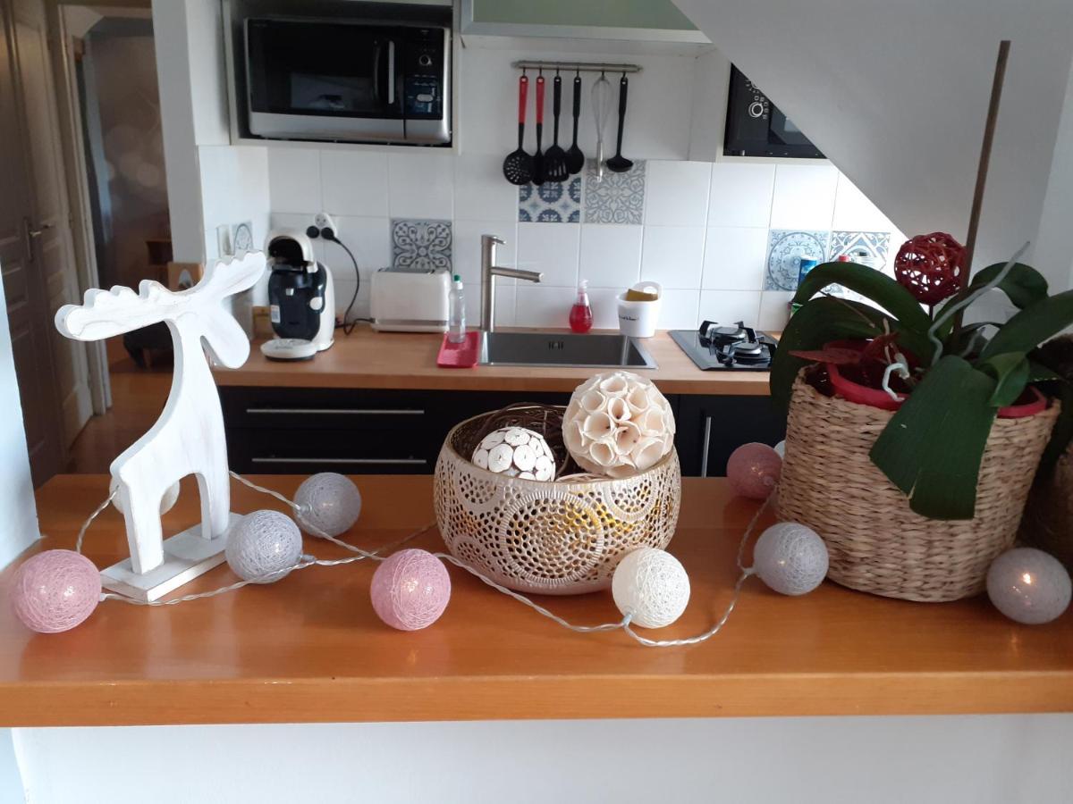 Appartement Rien Que Pour Vous Proche Centre Ville ラヴァル エクステリア 写真